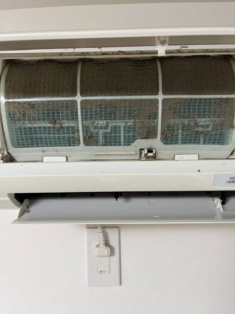 現在の画像に代替テキストがありません。ファイル名: 513c93d21477be3ef21a9efb13a2742f-scaled.jpg